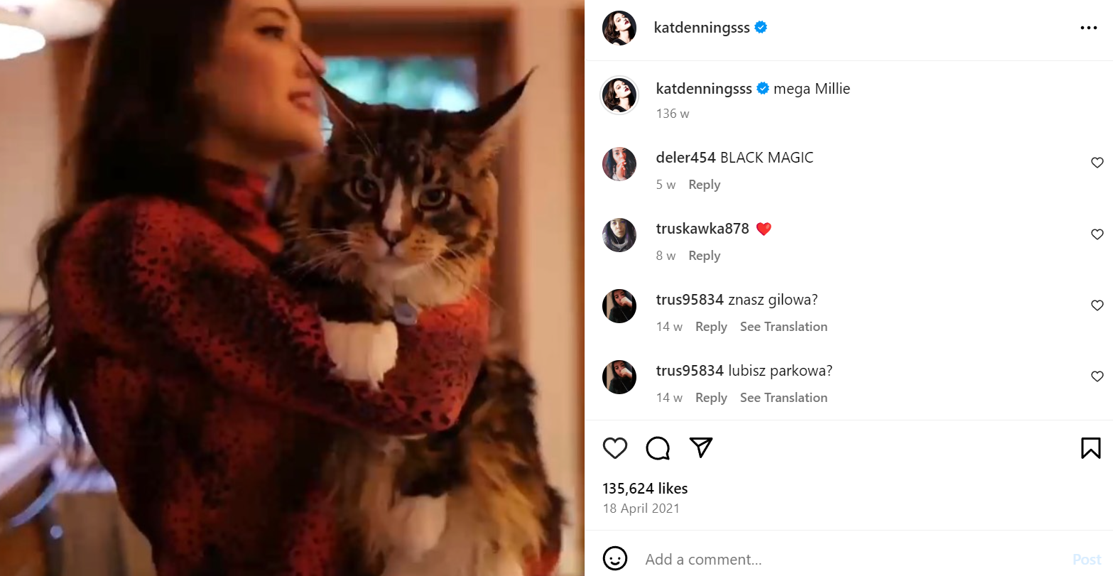 Kat Dennings's Cat Instagram Post